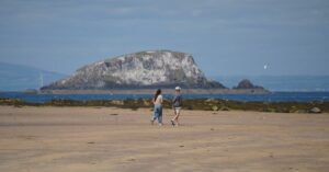 Adventure Time MOBA: The Ultimate Gaming Experience for Fans